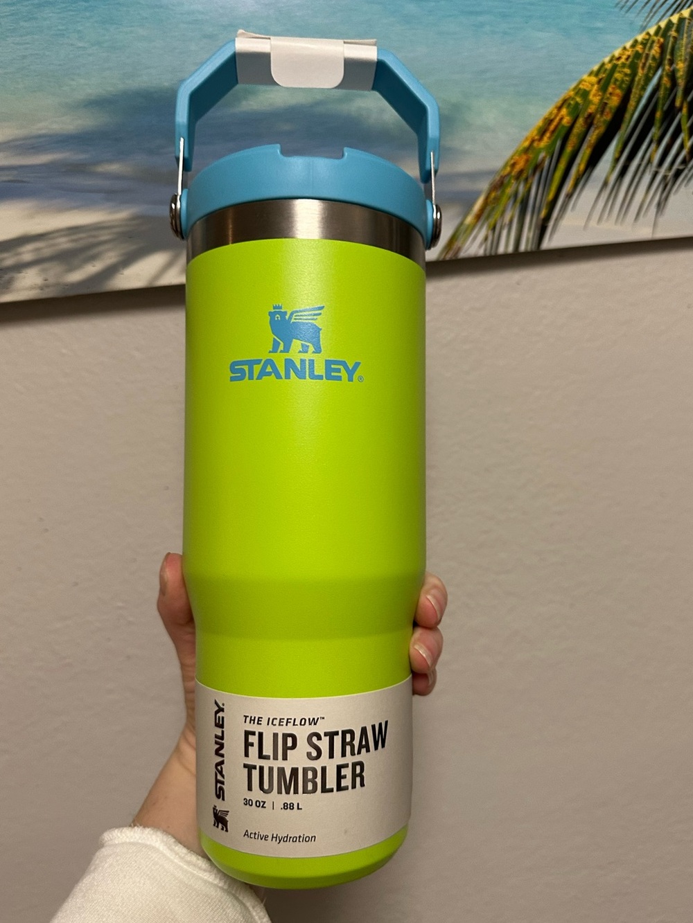 NWT Stanley Camelia Flip Straw Tumbler 30 oz 0.88 L Green Blue